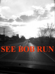 1363875558-see_bob_run